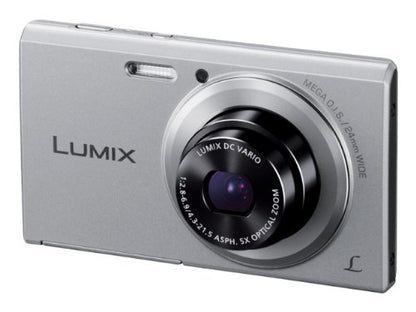 Panasonic Lumix DMC-FH10 16.1 MP Compact Digital Camera with 8X Intelligent Zoom (Silver)