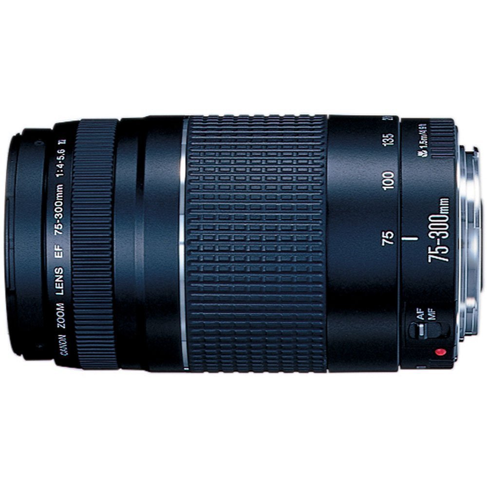 Canon EOS Rebel T3 12.2 MP CMOS Digital SLR with 18-55mm IS II Lens + Canon EF 75-300mm f/4-5.6 III Telephoto Zoom Lens