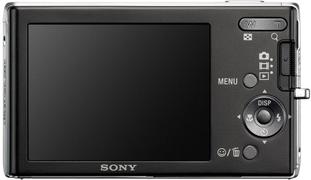 Sony Cybershot DSC-W190 12.1MP Digital Camera with 3x Super Steady Shot Stabilized Zoom and 2.7 inch LCD (Black)