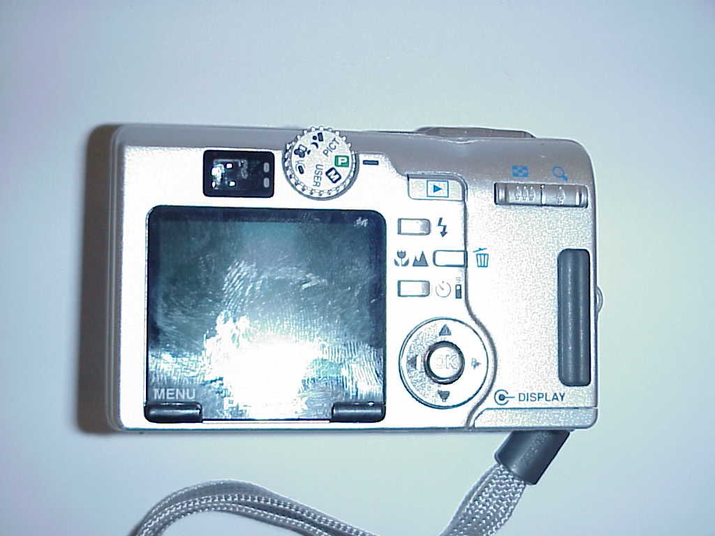 Pentax Optio SV 5MP Digital Camera with 5x Optical Zoom