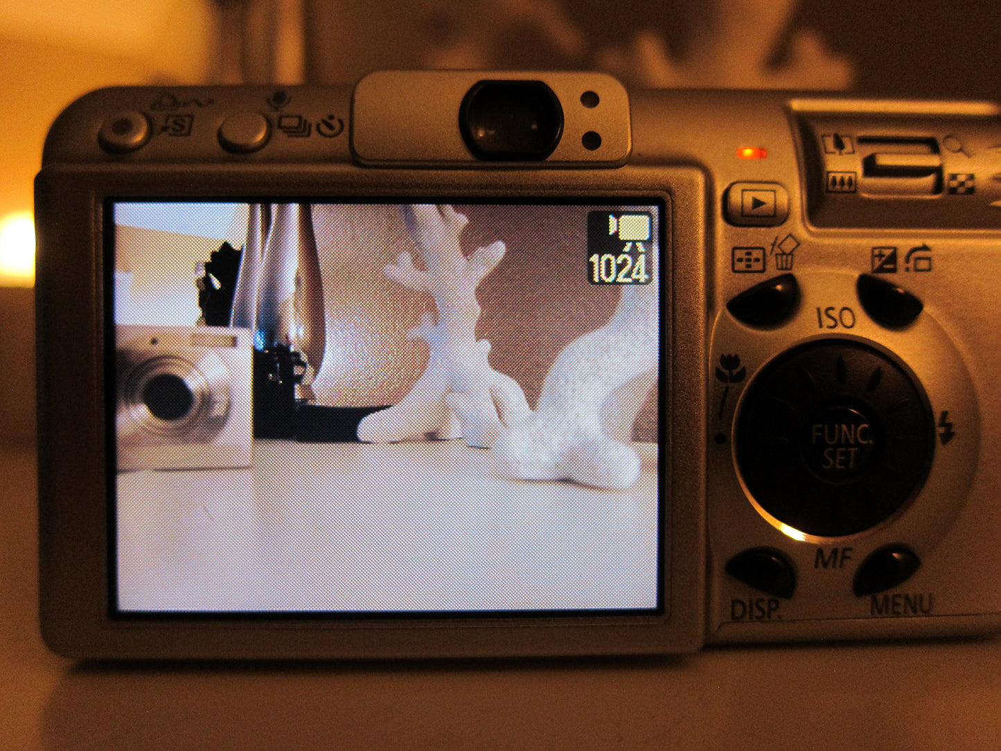 Canon Powershot S80 8MP Digital Camera with 3.6x Wide Angle Optical Zoom