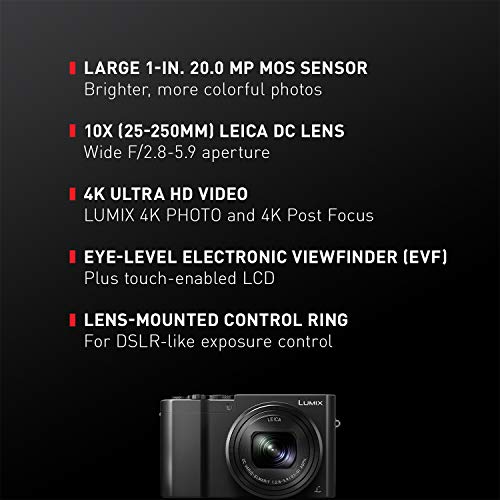 PANASONIC LUMIX ZS100 Parent
