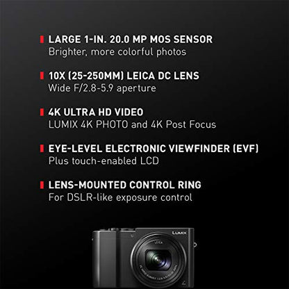 PANASONIC LUMIX ZS100 Parent