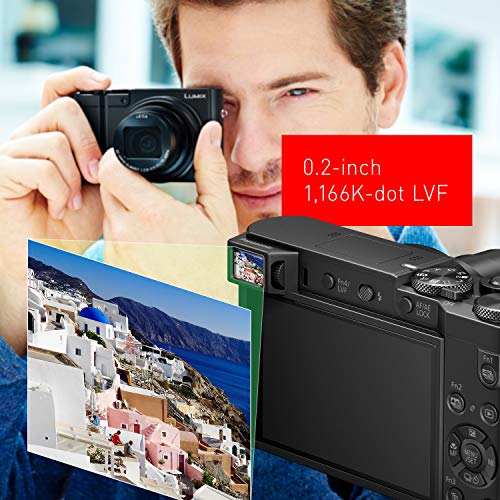 PANASONIC LUMIX ZS100 Parent