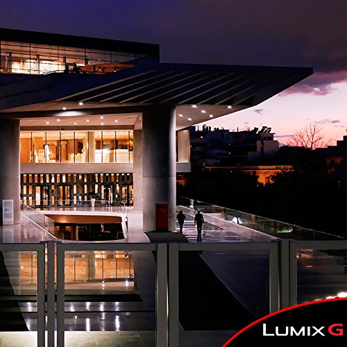 PANASONIC LUMIX ZS100 Parent