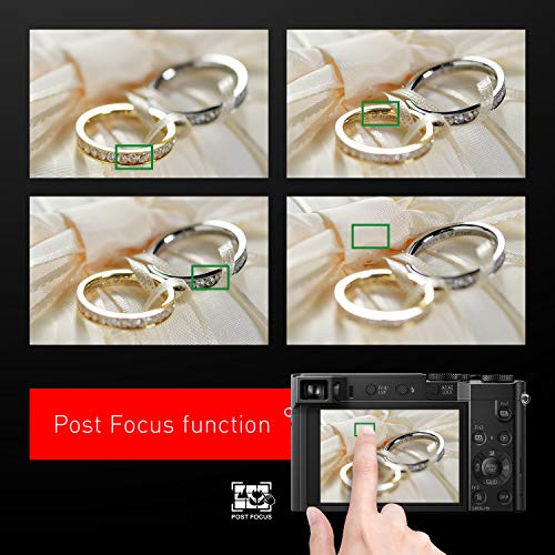PANASONIC LUMIX ZS100 Parent