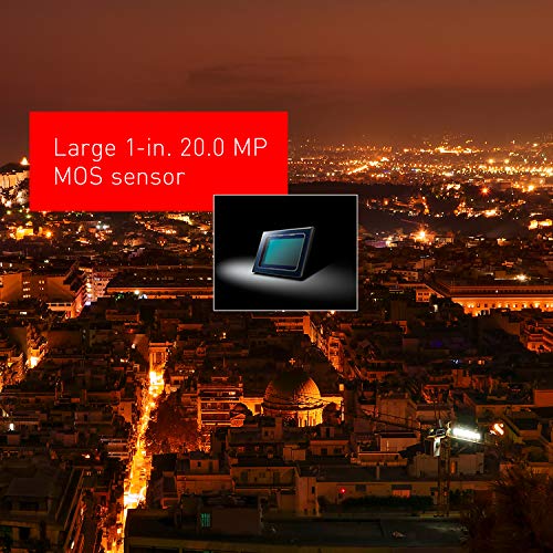 PANASONIC LUMIX ZS100 Parent