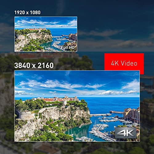 PANASONIC LUMIX ZS100 Parent