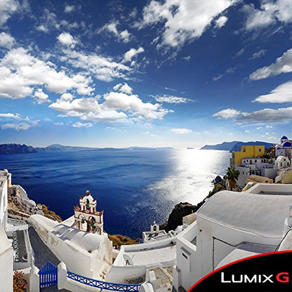 PANASONIC LUMIX ZS100 Parent