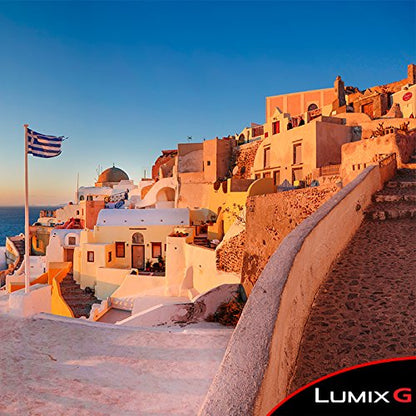 PANASONIC LUMIX ZS100 Parent