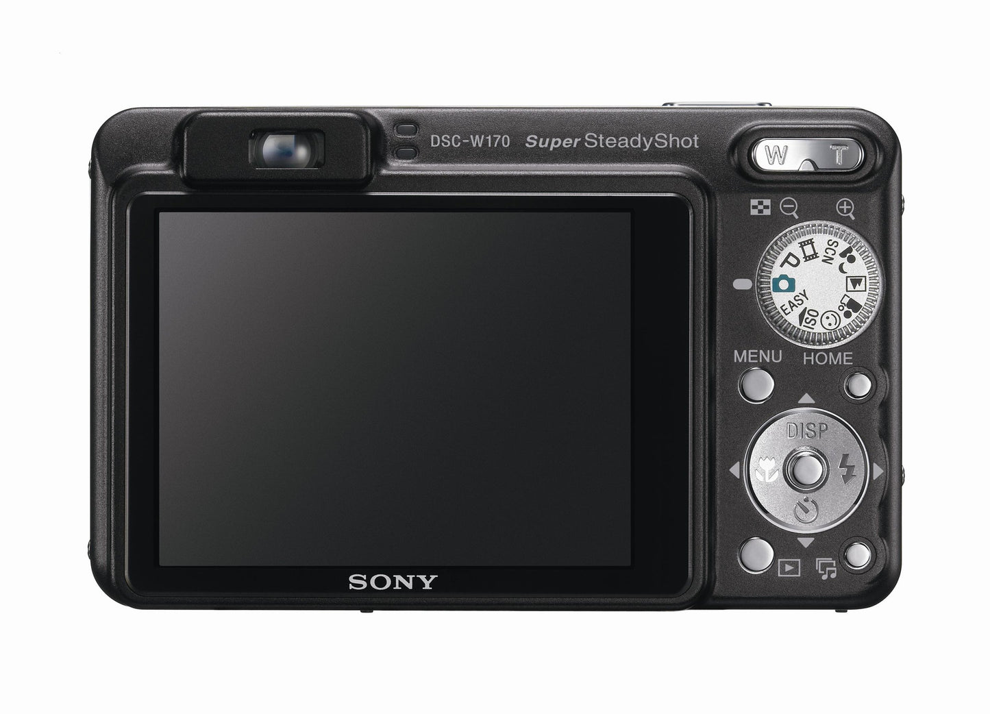 Sony Cybershot DSCW170/B 10.1MP Digital Camera with 5x Optical Zoom with Super Steady Shot (Black)