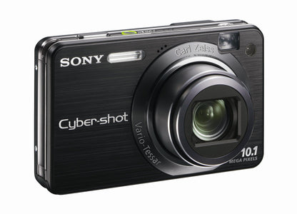 Sony Cybershot DSCW170/B 10.1MP Digital Camera with 5x Optical Zoom with Super Steady Shot (Black)
